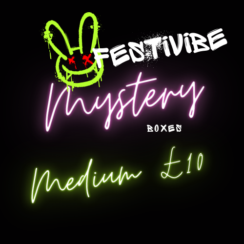 Festivibe Medium Mystery Toy Box
